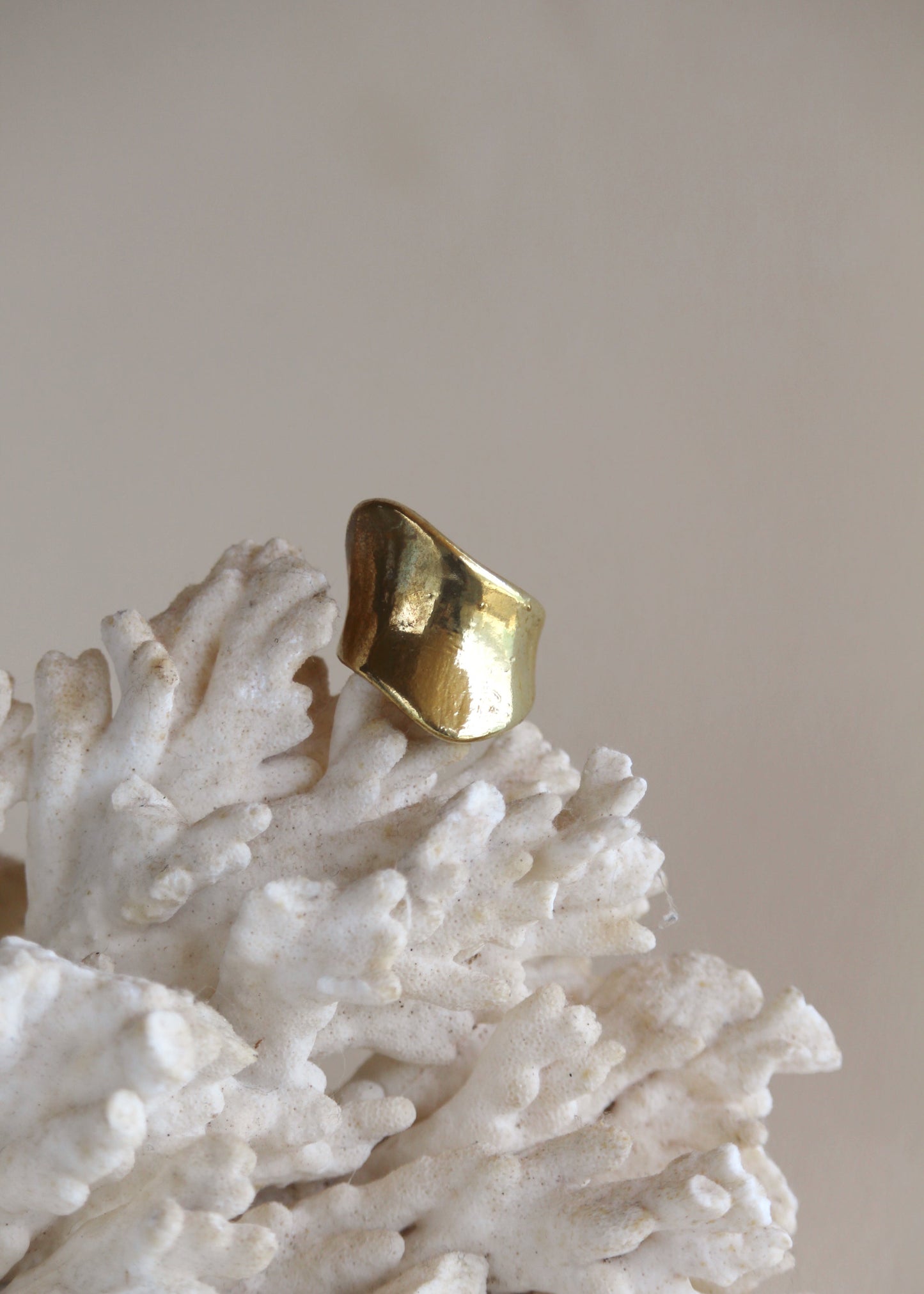 Anillo Corvo