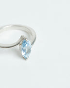 Anillo movimiento