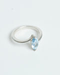 Anillo movimiento