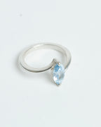 Anillo movimiento
