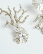 Aros Areia plata