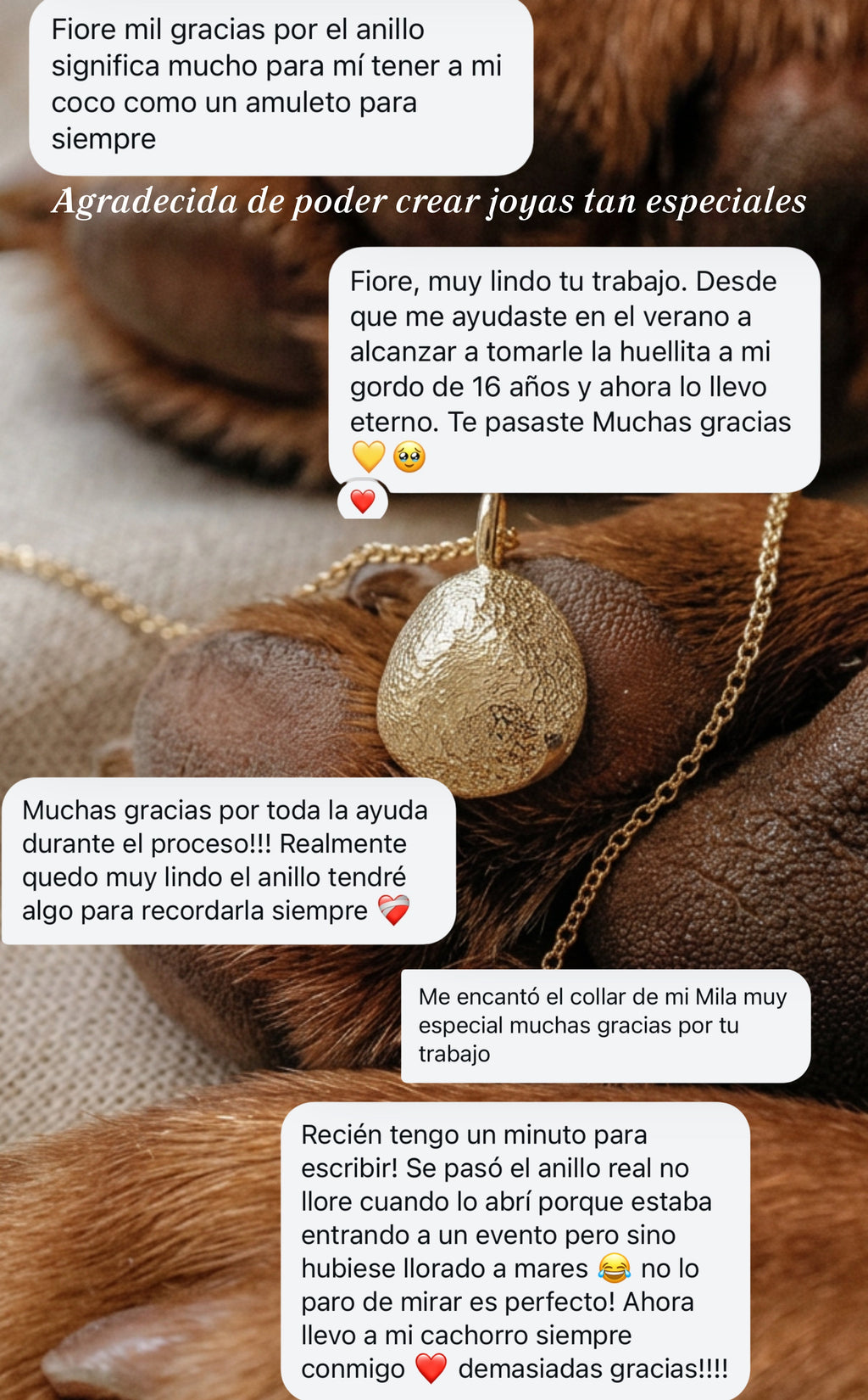 Anillo Huella plata