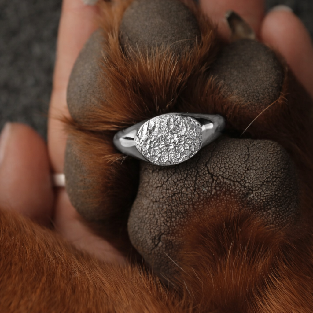 Pack Collar + Anillo Plata 950