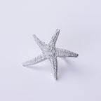 Anillo Mar