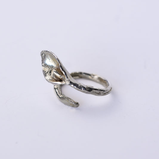Anillo Cala Plata