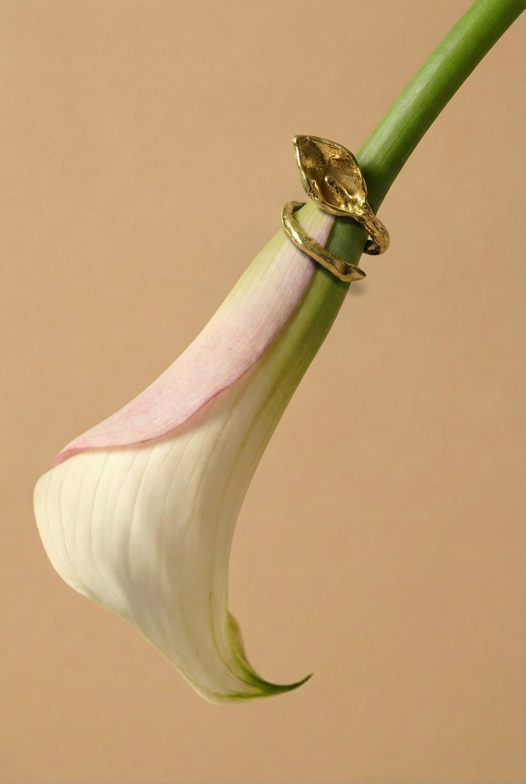 Anillo Cala Plata