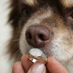 Pack Collar + Anillo Plata 950