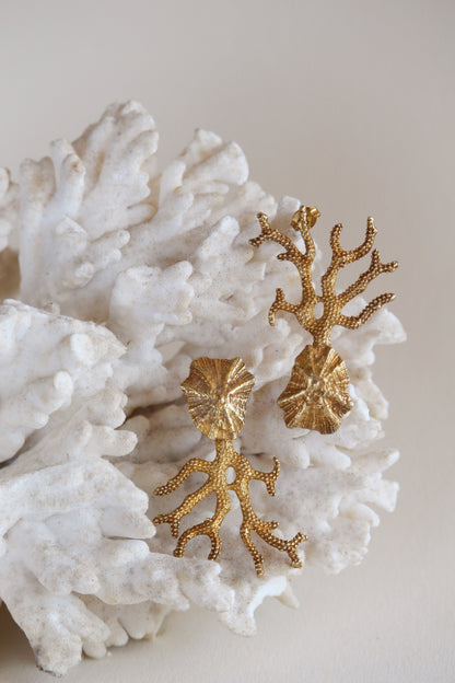 Aros Areia - Enchapado